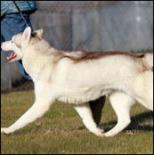 Kristaris Ray O Sunshine