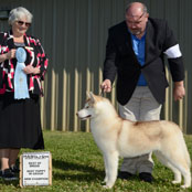 Unicornhill Bonfire OKristari