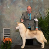 Unicornhill Bonfire OKristari