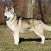 Kristaris Just Cruisin