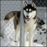 Kristaris Chip And Dip