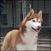 Kristaris Lovem N Leavem