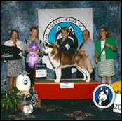 Kristaris Lovem N Leavem