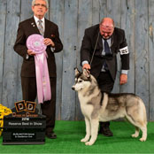 Kristaris On the Sly