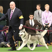 Kristaris On the Sly