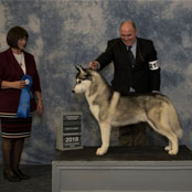 Kristaris ON the Sly