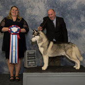 Kristaris On the Sly