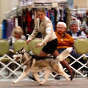 Kristaris ON the Sly