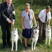 Kristaris On the Sly